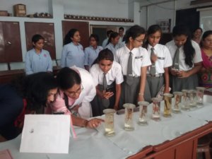 Exhibition Zoology Dept.